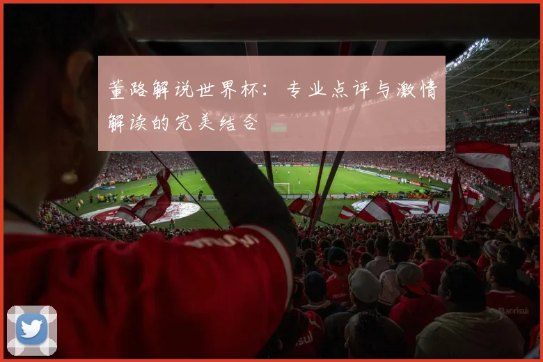 董路解说世界杯：专业点评与激情解读的完美结合