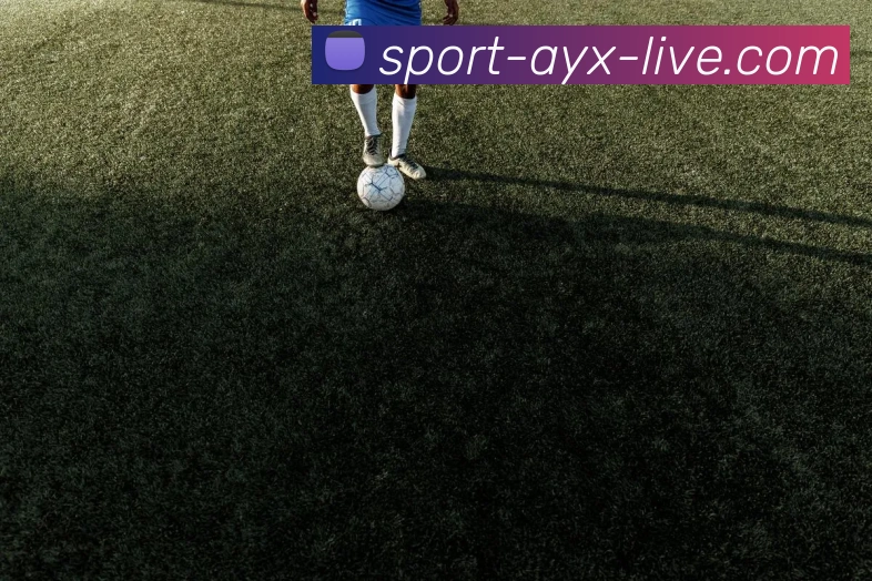 App界面