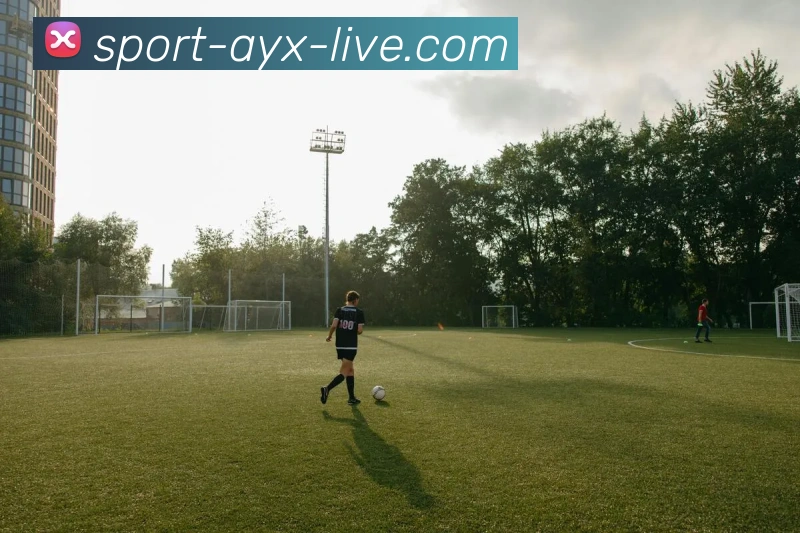 战术分析频道